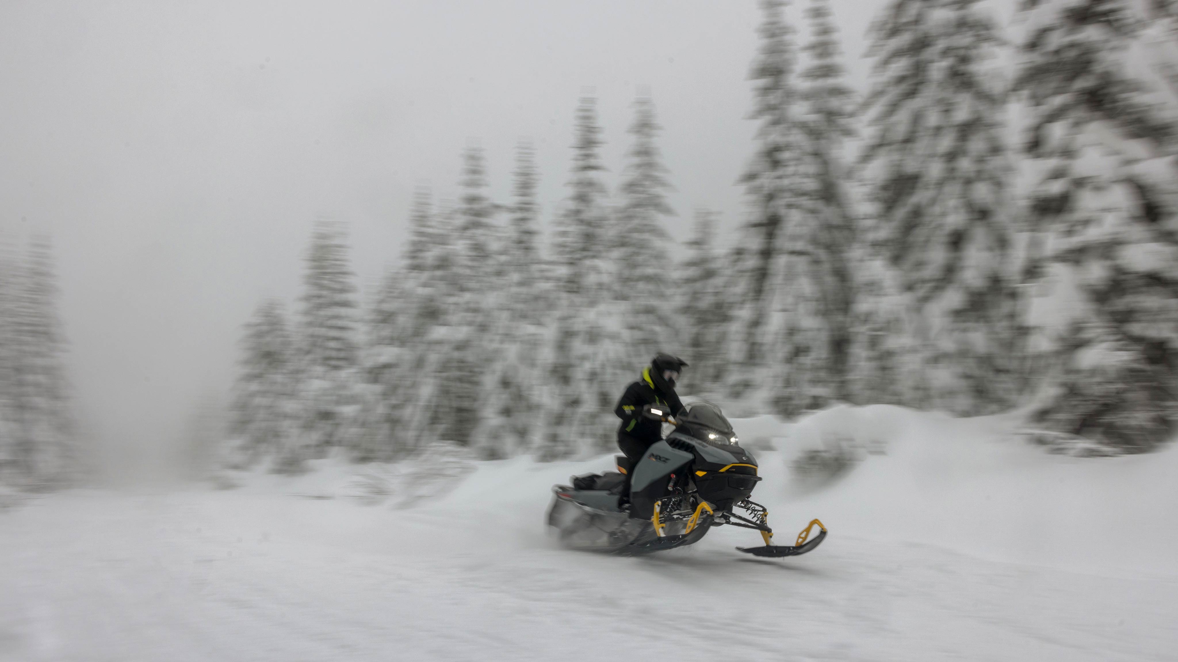 2025 SkiDoo Trail Snowmobiles